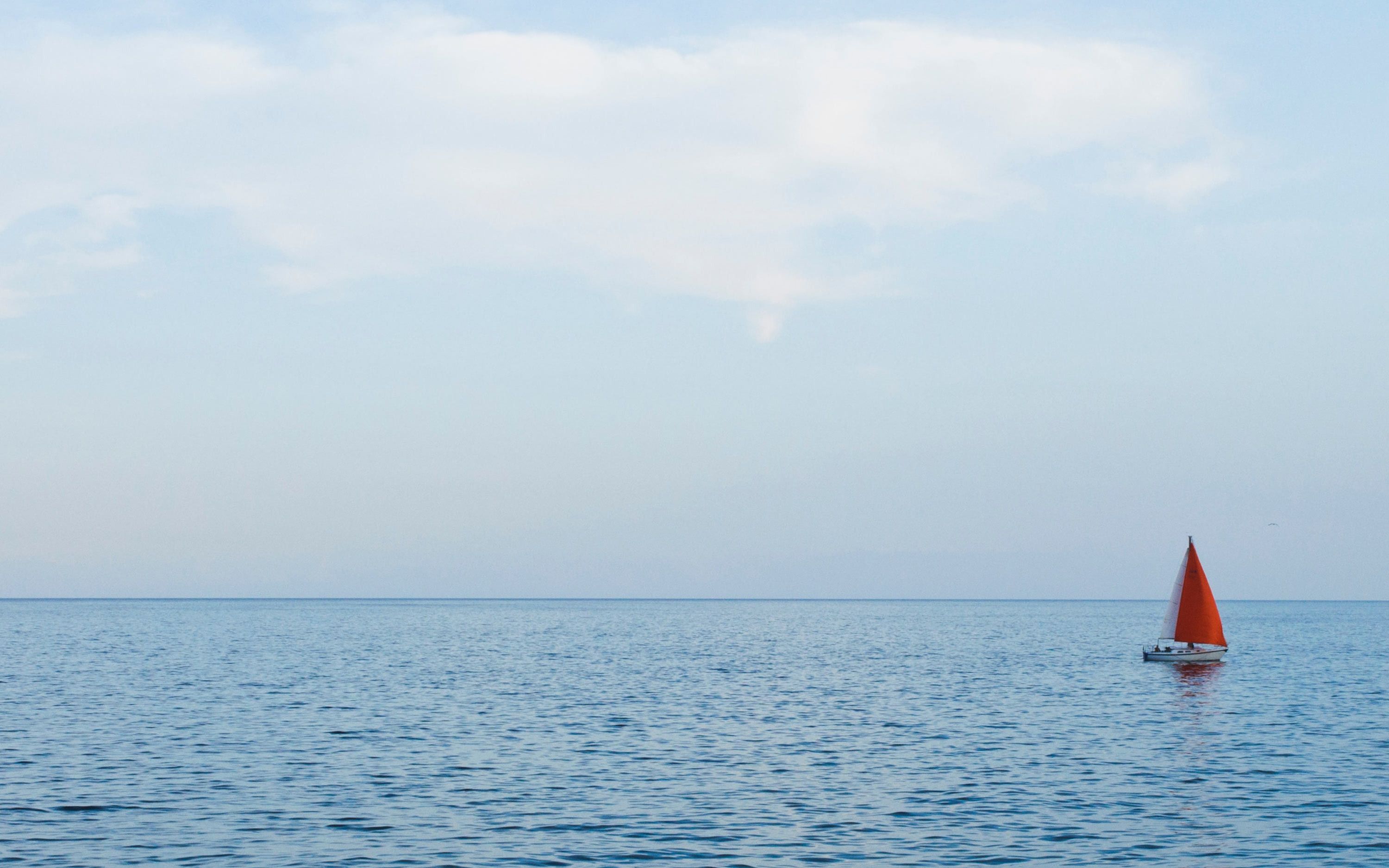 French Terry Sweatpant MSRP $240 Size XL