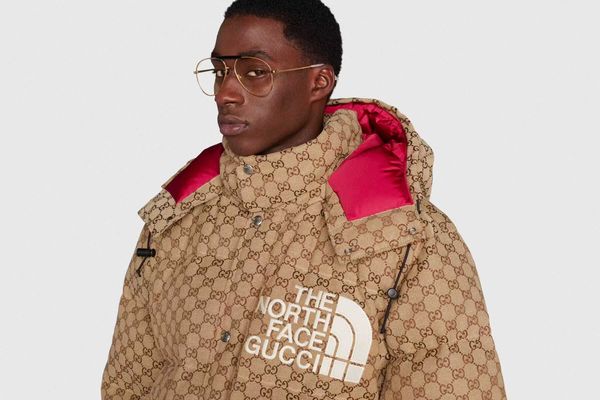 north face louis vuitton jacket