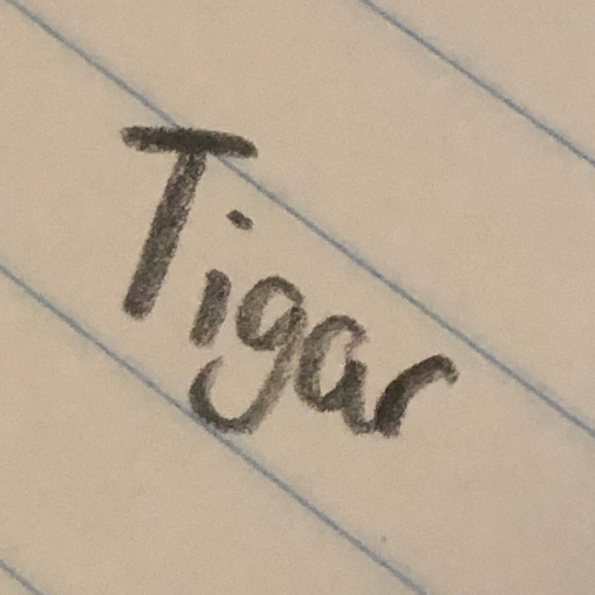 Grailed profile picture for @Tigar