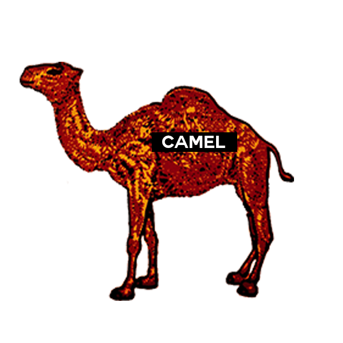 Grailed profile picture for @Camel