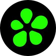 Grailed profile picture for @ICQ