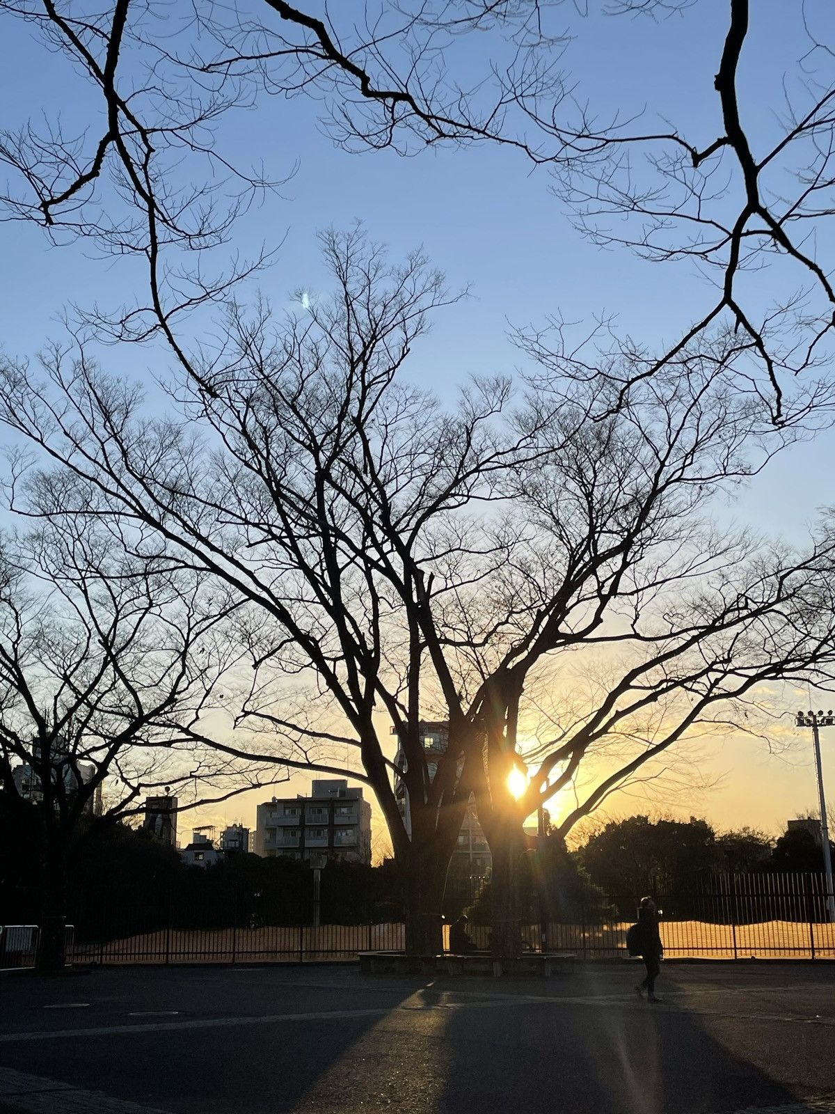 Heaven by Marc Jacobs Heaven by Marc Jacobs CHAP WASHED PANTS