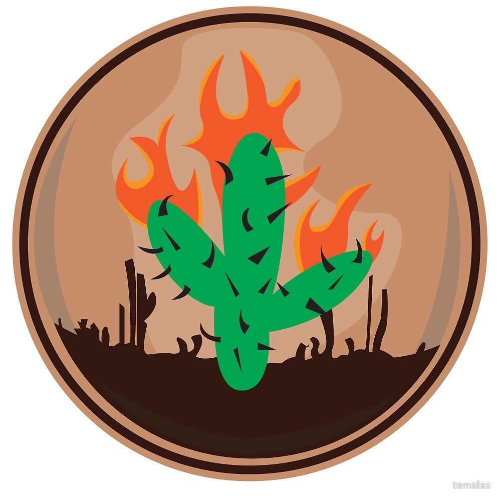 Grailed profile picture for @flamer