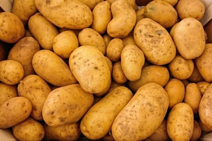Grailed profile picture for @potatoes