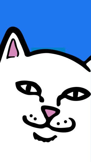Grailed profile picture for @riCHi