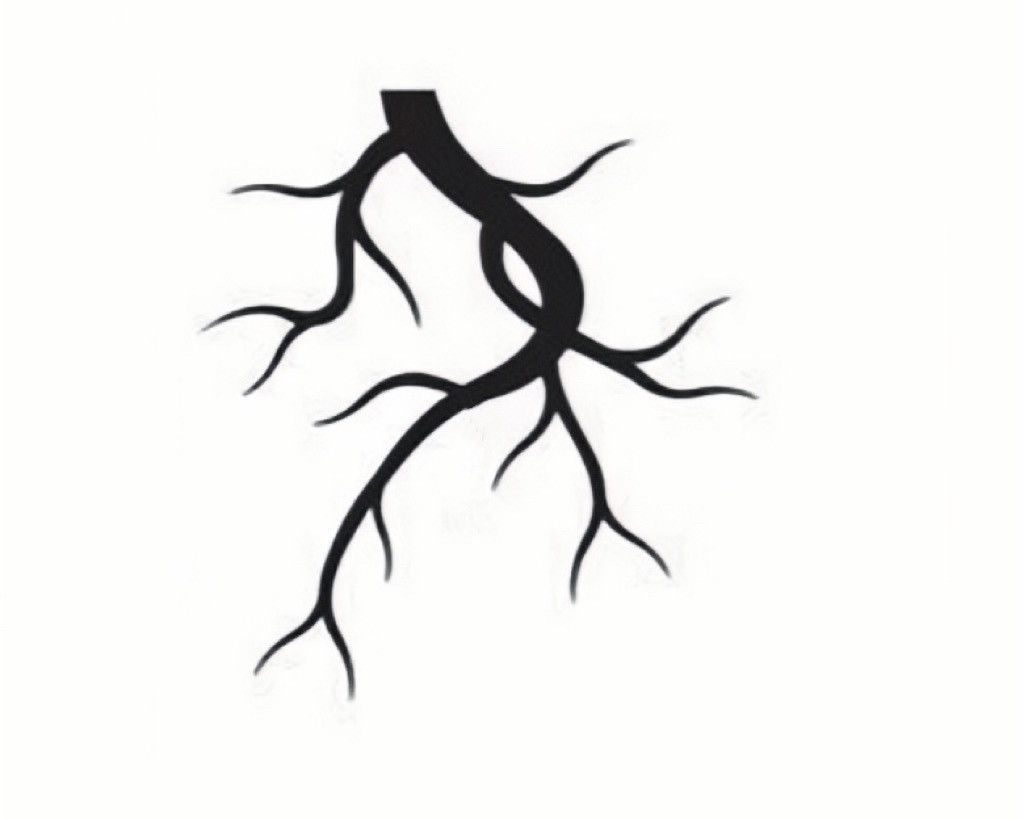 Grailed profile picture for @roots