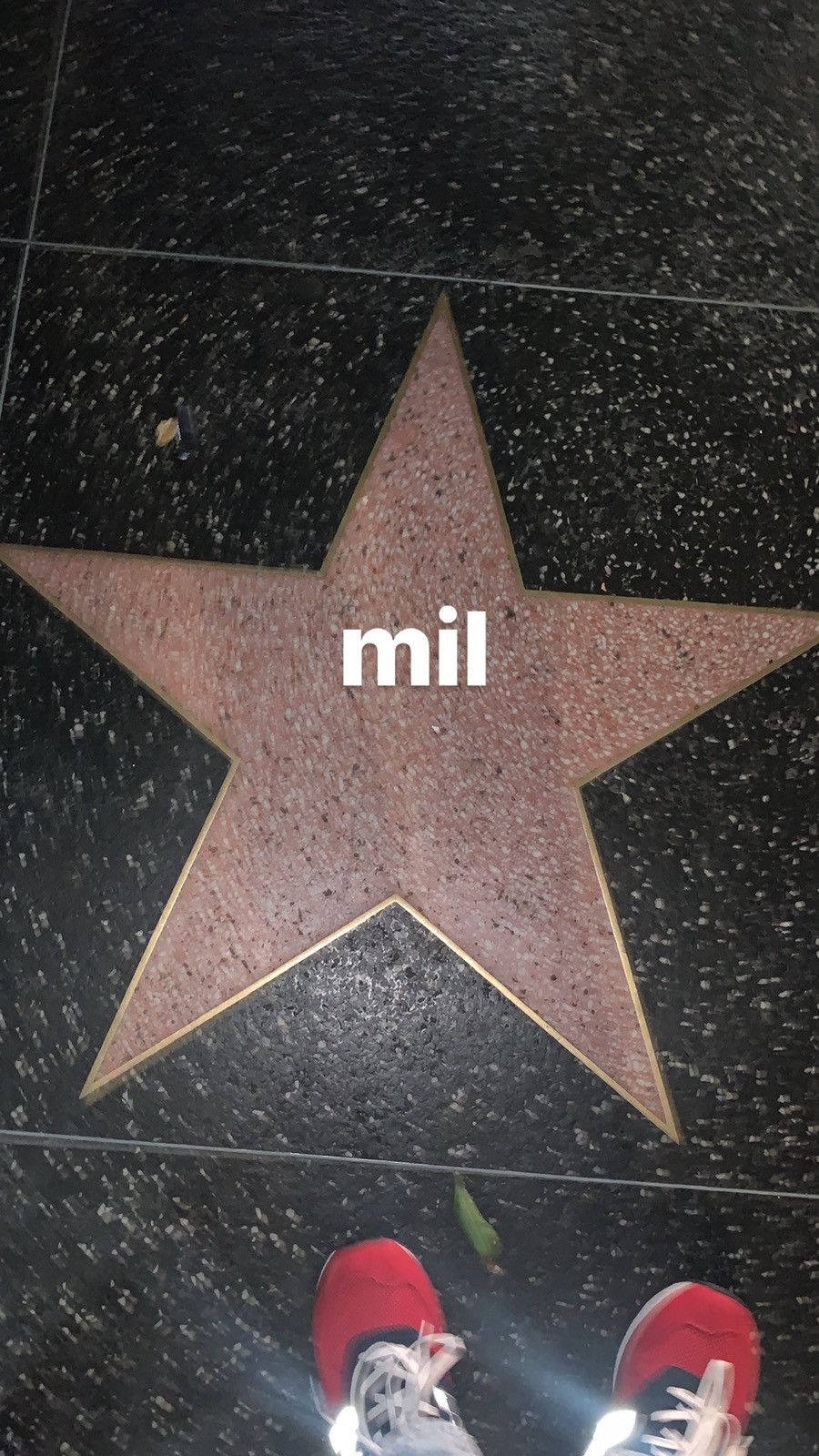 Grailed profile picture for @mil