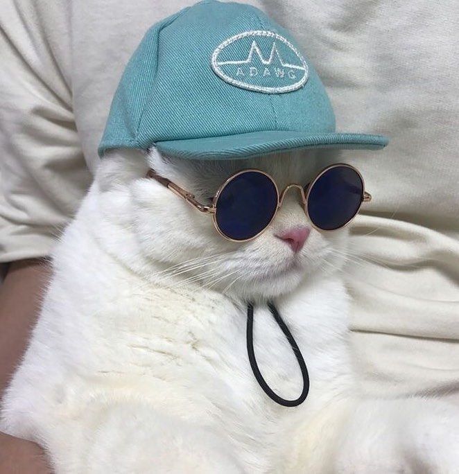 Grailed profile picture for @grapefruit
