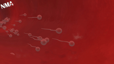 Grailed profile picture for @sperm