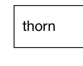 Grailed profile picture for @thorn