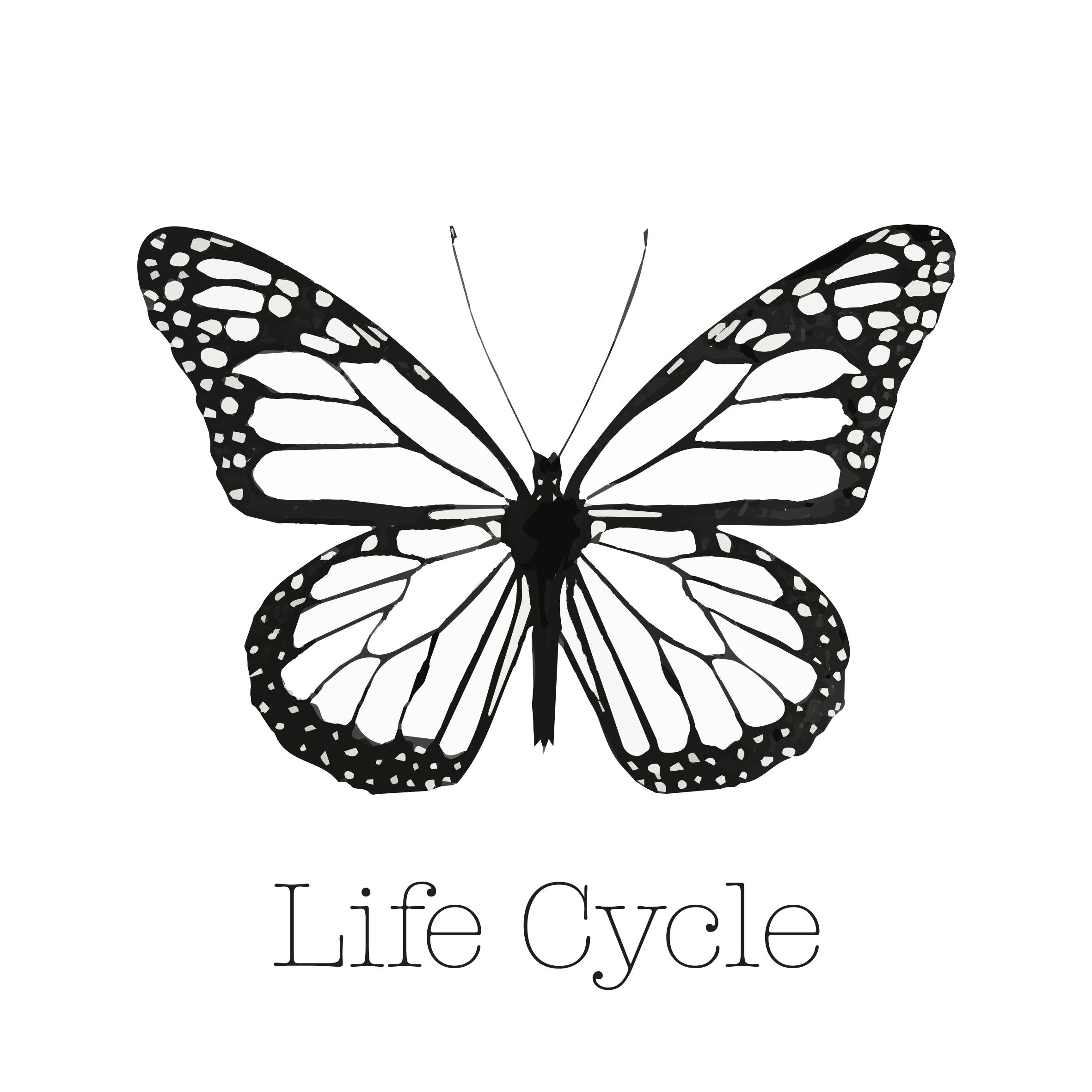 Grailed profile picture for @Lifecycle