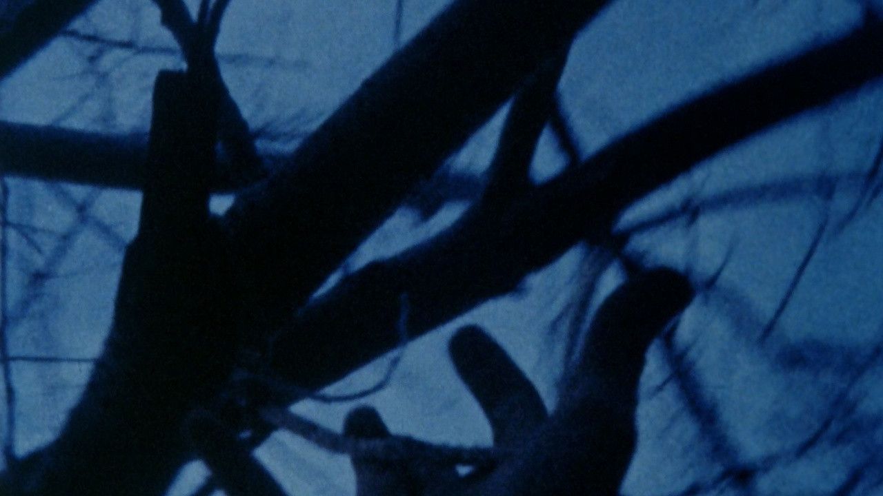 Grailed profile picture for @anticipation