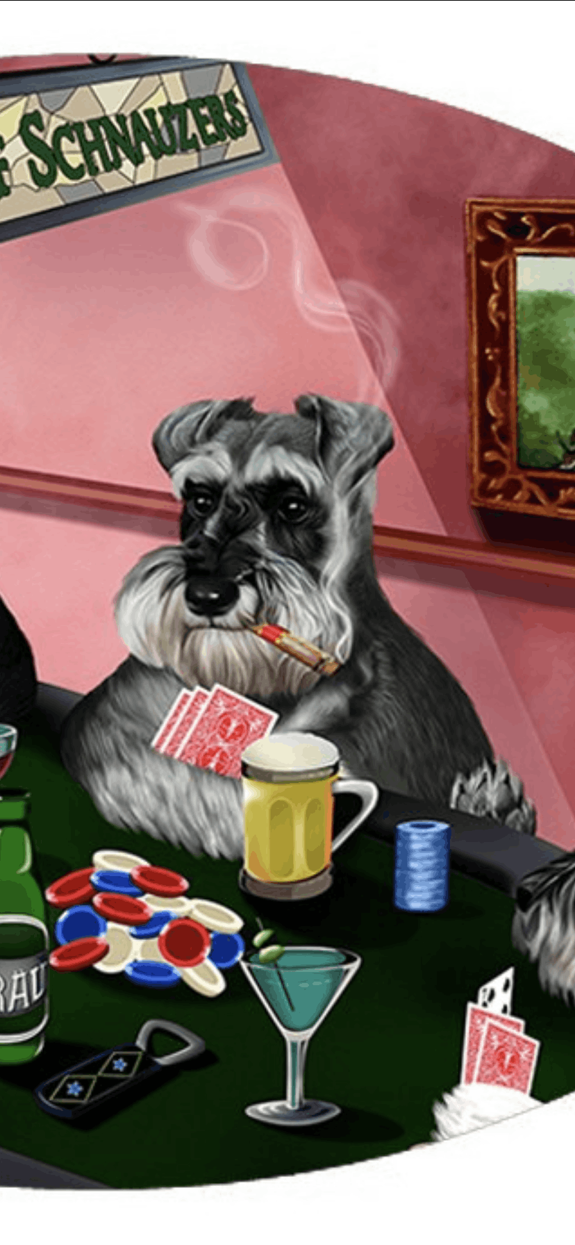 Grailed profile picture for @Schnauzer