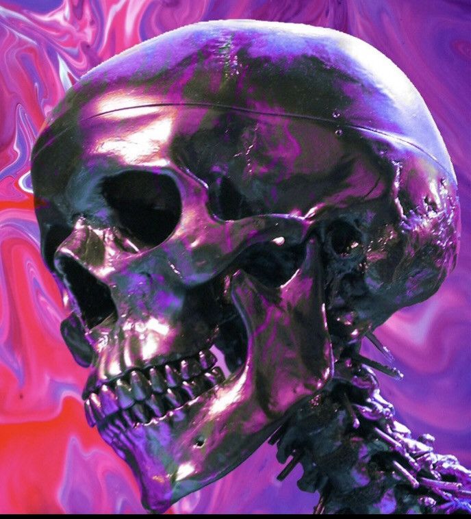 Grailed profile picture for @gears