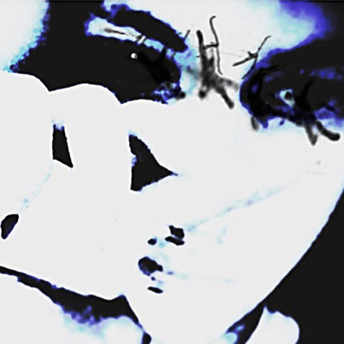 Grailed profile picture for @Vamps