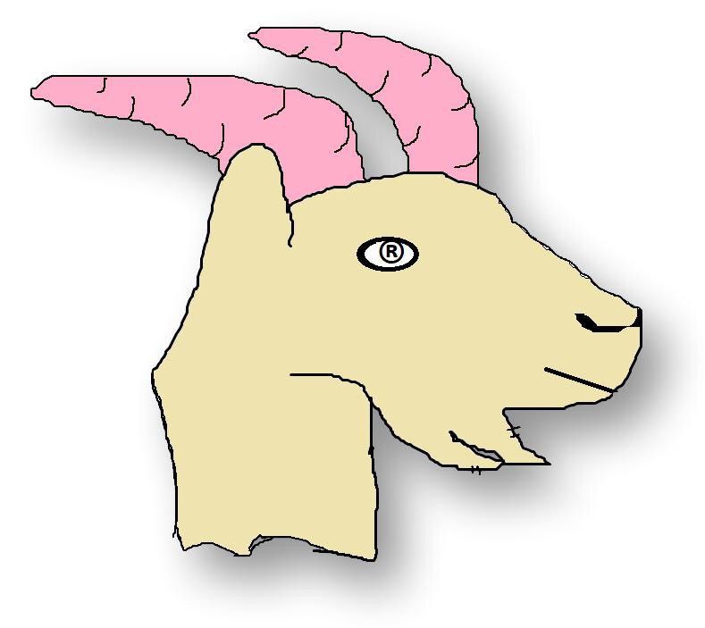 Grailed profile picture for @hovercraft