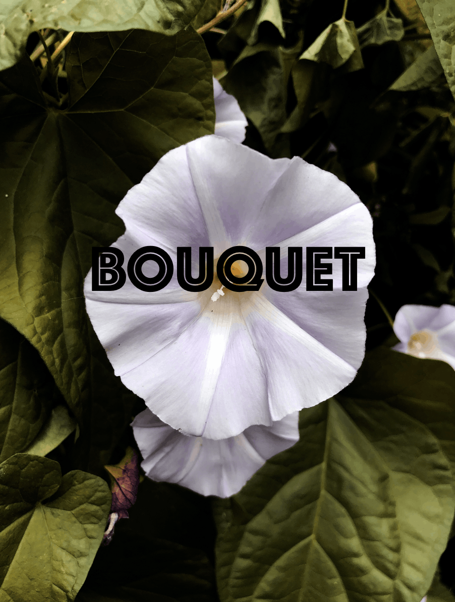 Grailed profile picture for @Bouquet