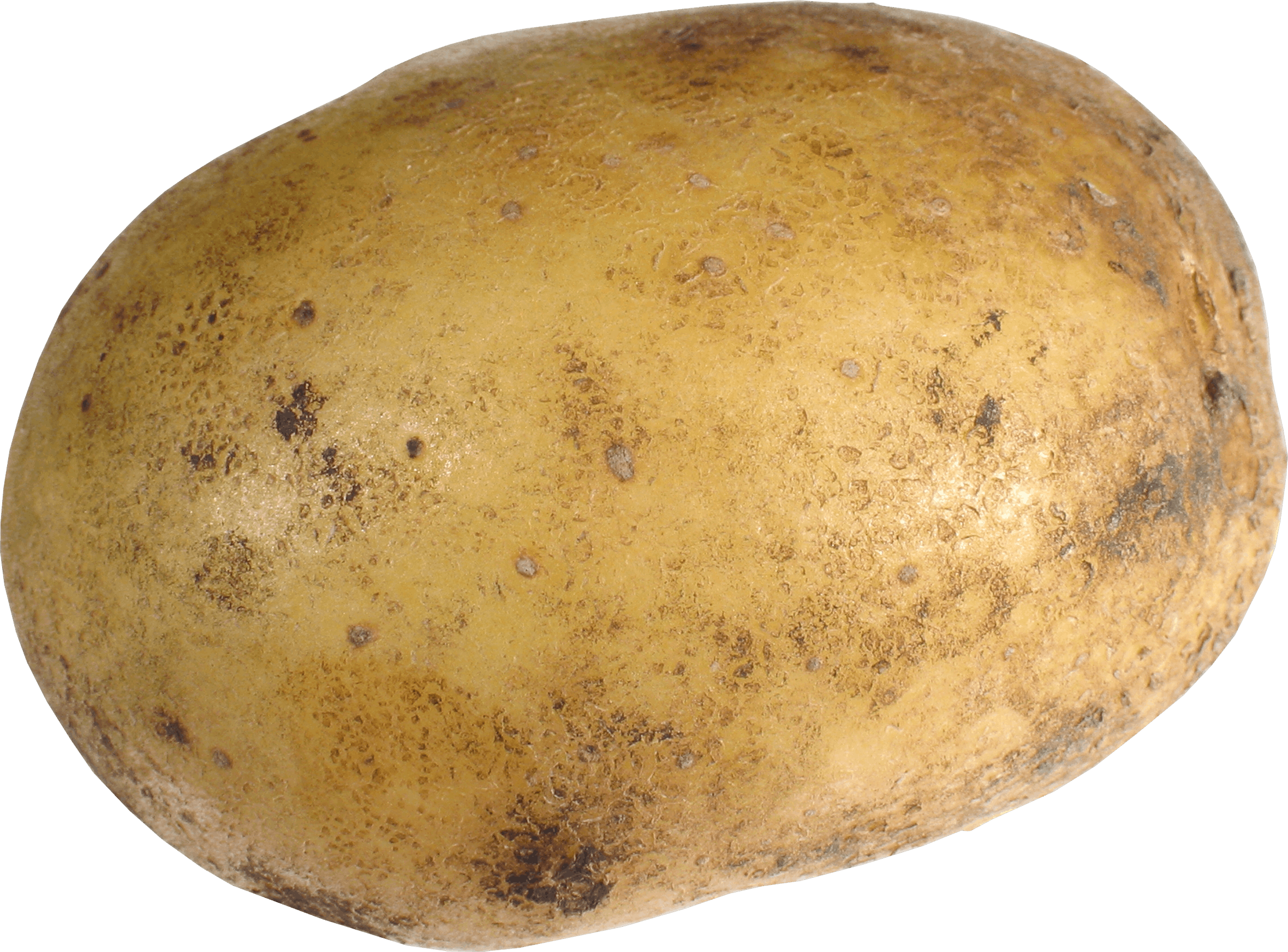Grailed profile picture for @potato