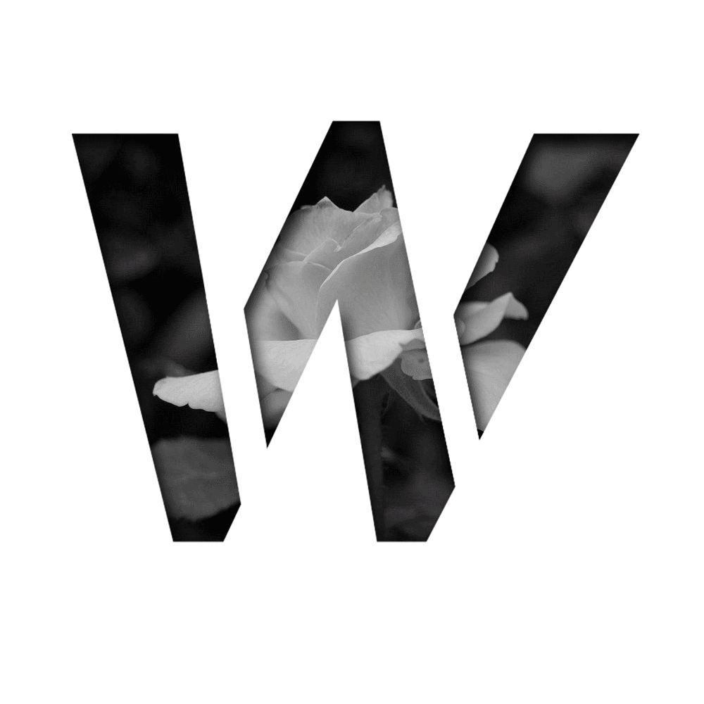 Grailed profile picture for @Wiki