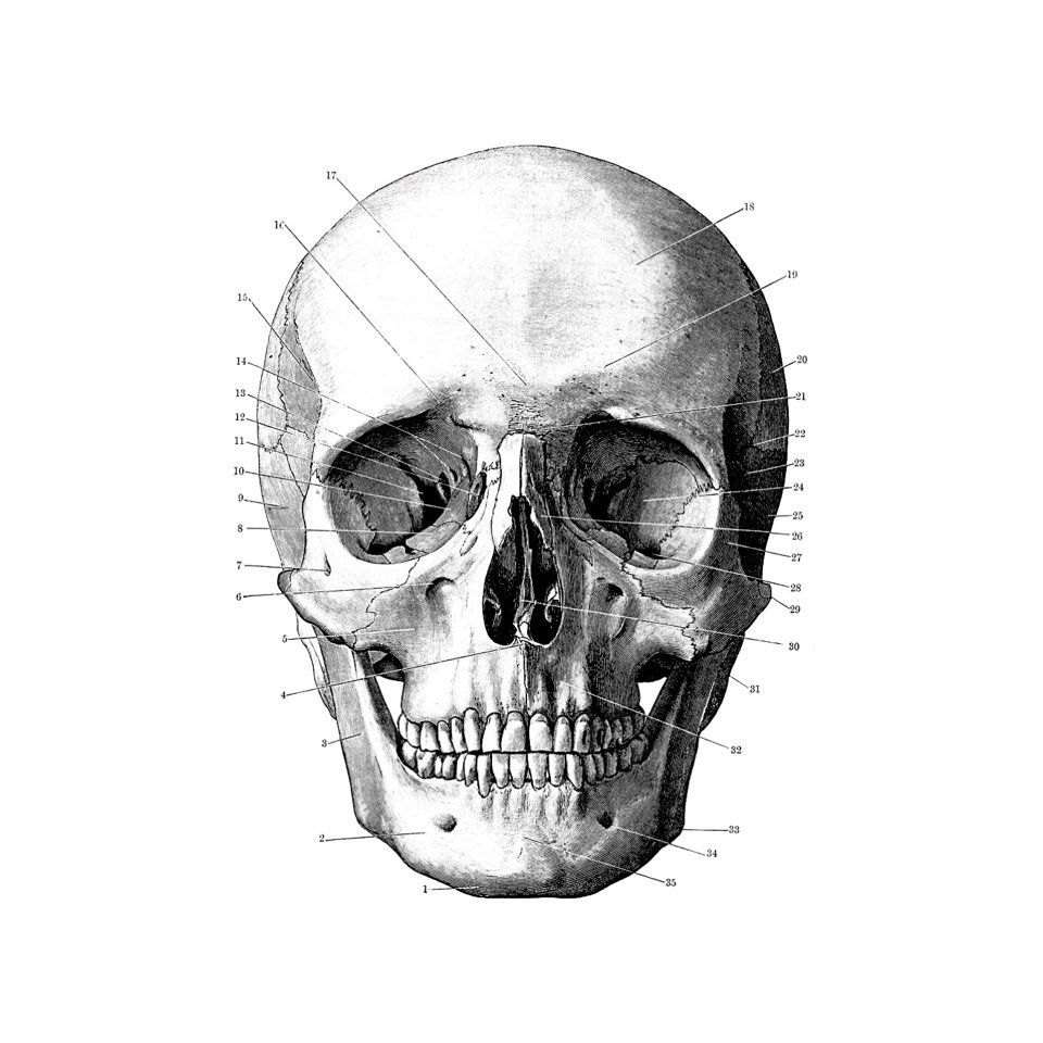 Grailed profile picture for @ordnance