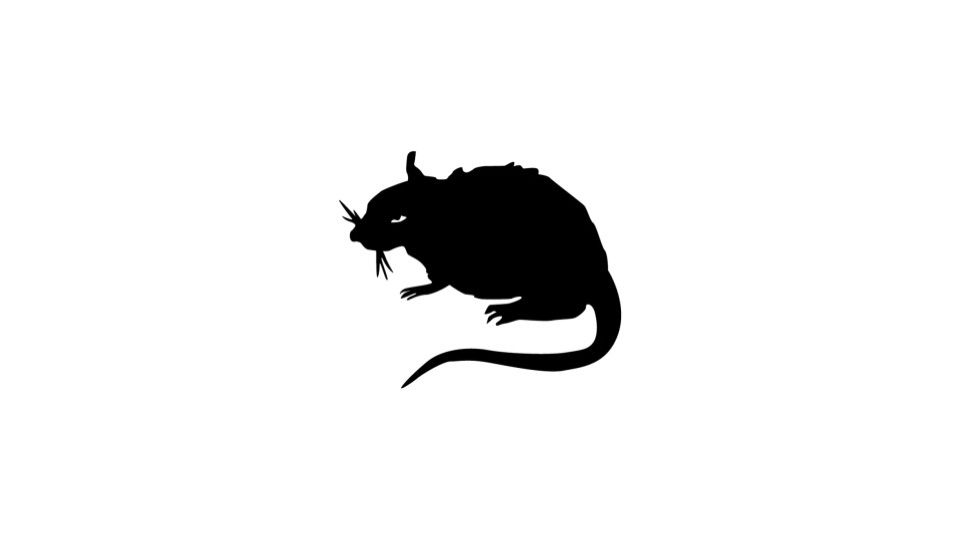 Stray Rats Men's Beanies