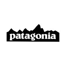 Patagonia Men's Clothing