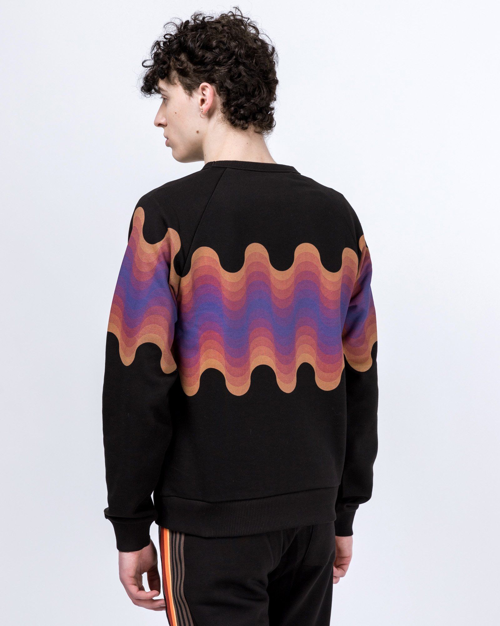 Dries Van Noten SS19 DRIES VAN NOTEN x VERNER PANTON HASKINS SWEATSHIRT XL Size US XL / EU 56 / 4 - 15 Thumbnail