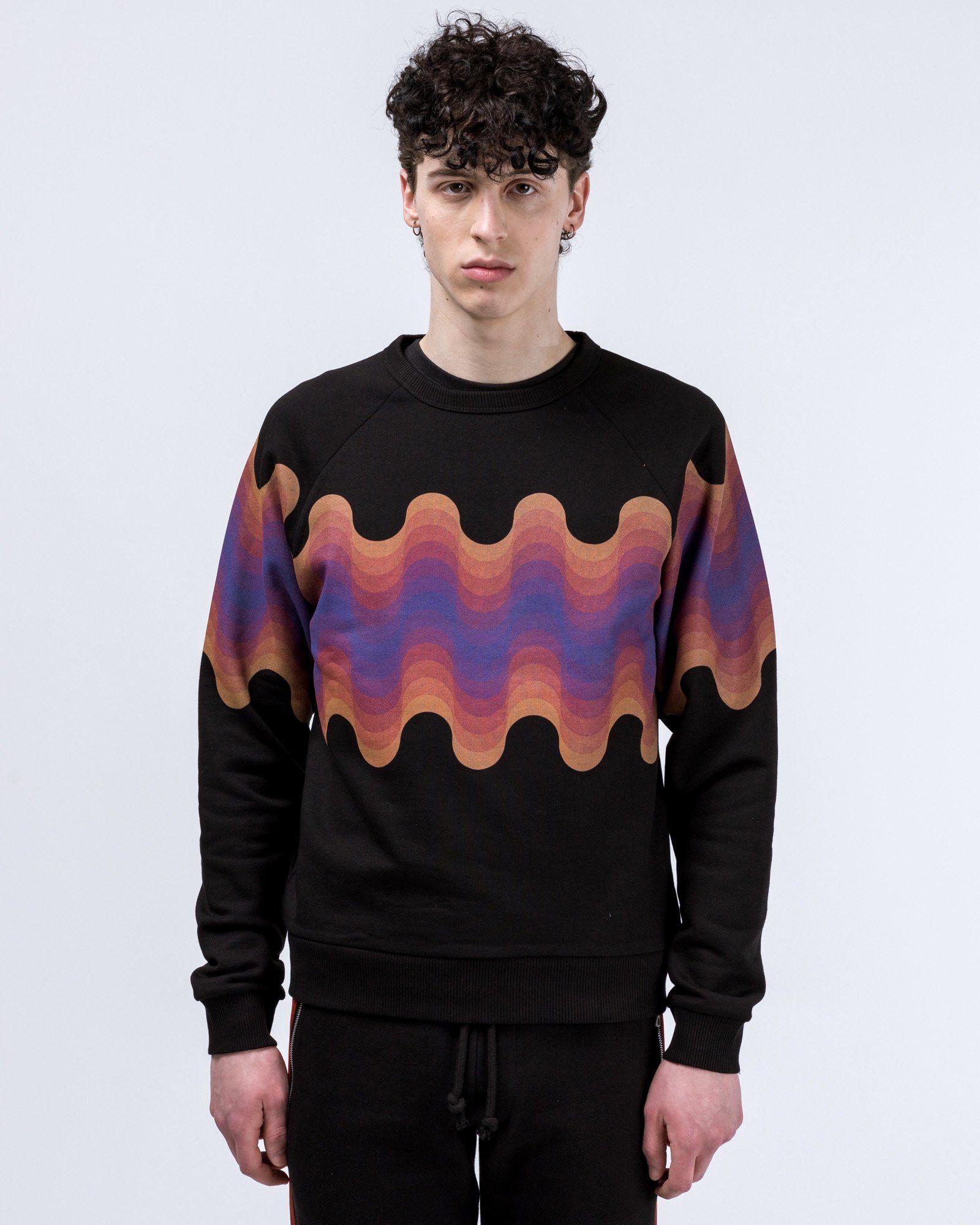 Dries Van Noten SS19 DRIES VAN NOTEN x VERNER PANTON HASKINS SWEATSHIRT XL Size US XL / EU 56 / 4 - 14 Thumbnail