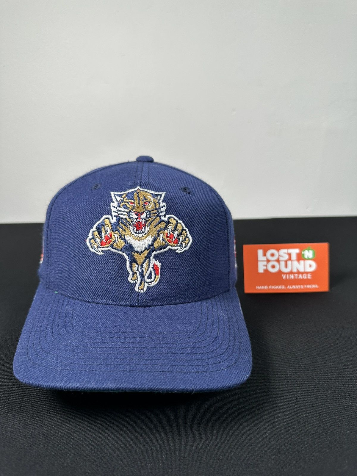 90's Florida Panthers Sports Specialties Script NHL Snapback Hat – Rare VNTG