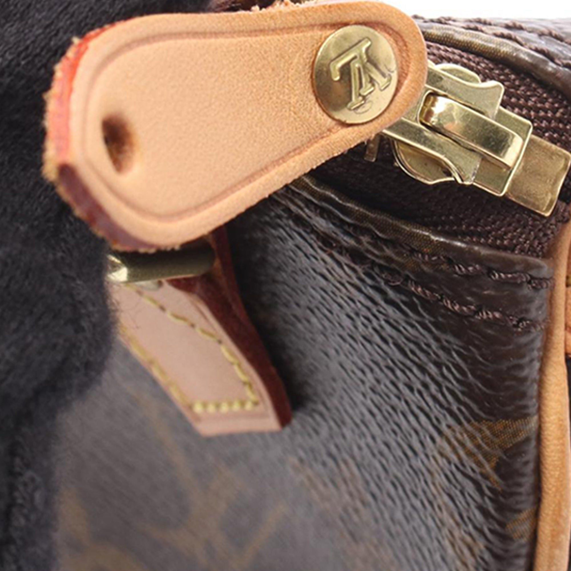 Louis Vuitton Speedy HL Size ONE SIZE - 7 Thumbnail