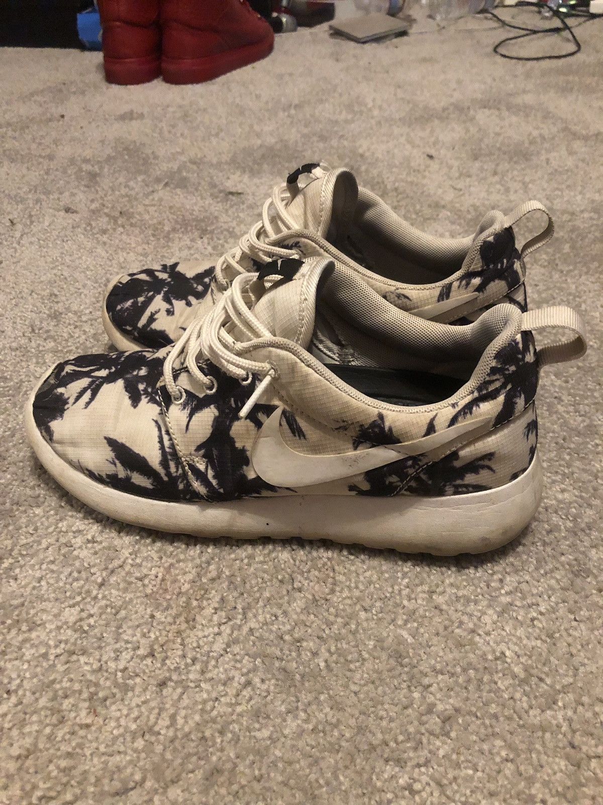palm tree roshes