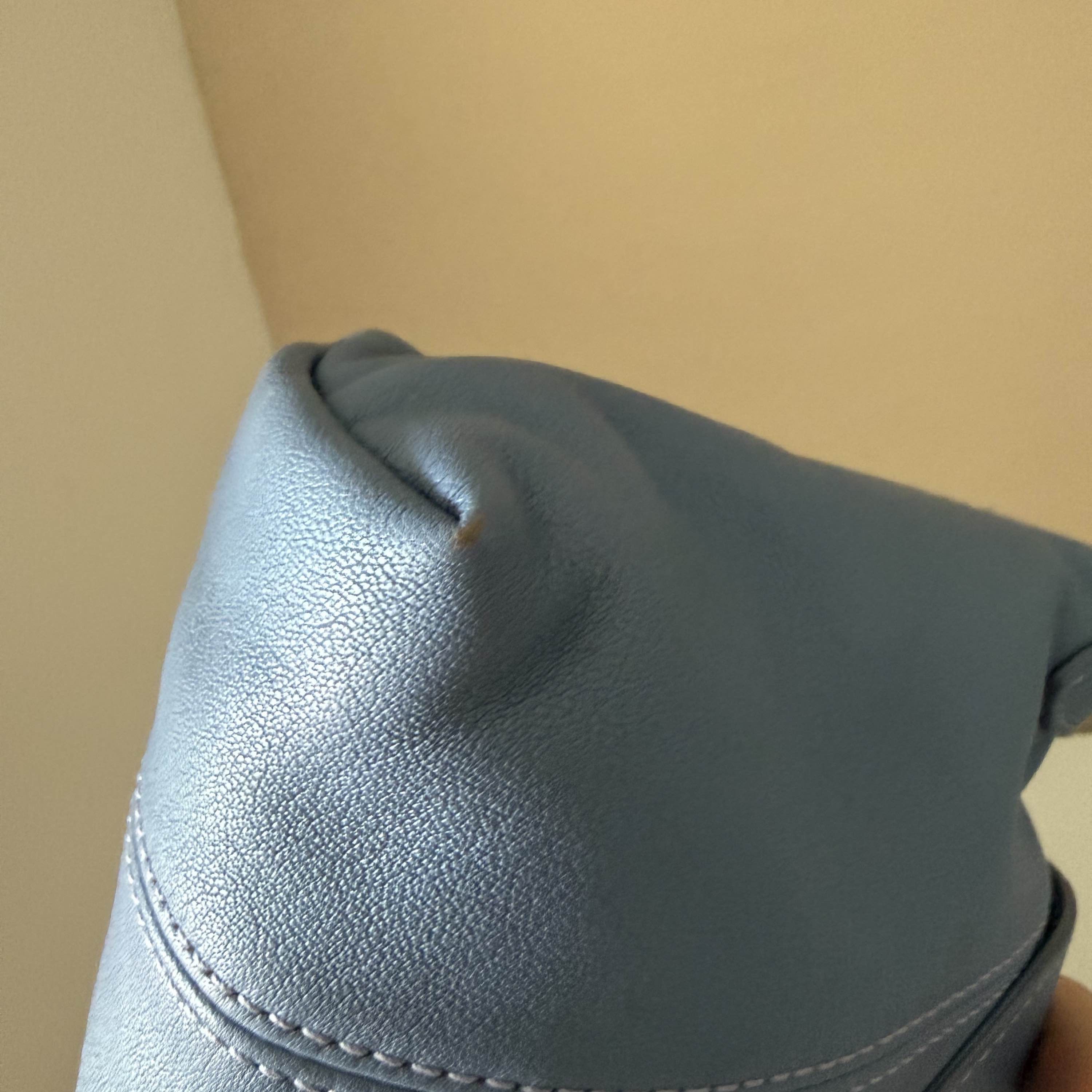 Longchamp Longchamp Le Pliage Cuir Leather Crossbody Bag Size OS Size ONE SIZE - 8 Thumbnail