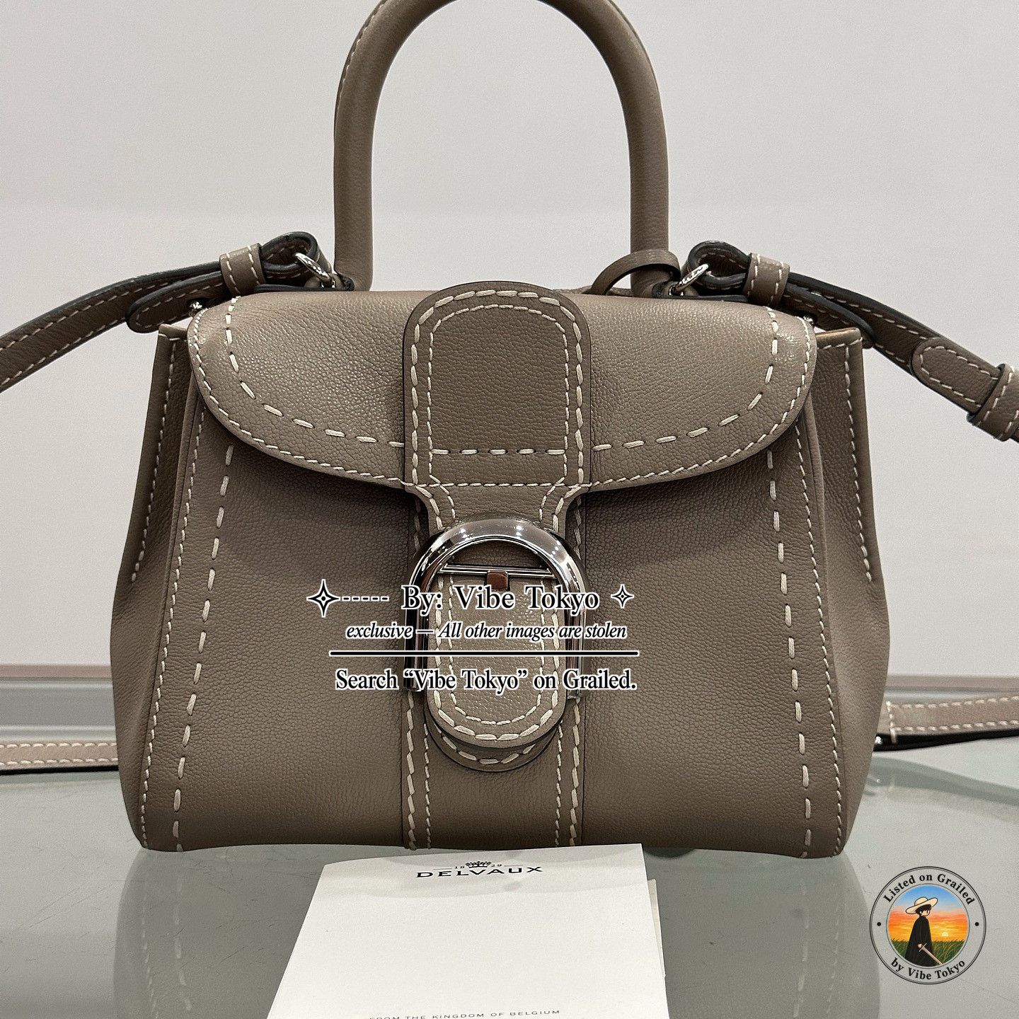 Delvaux Delvaux Brillant Mini Rodeo Calf Handle Bag Taupe Size ONE SIZE - 8 Thumbnail