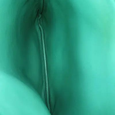 Hermes Hermes Aline Vert Criquet Swift cowhide leather crossbody bag shoulder bag silve Size ONE SIZE - 16 Thumbnail