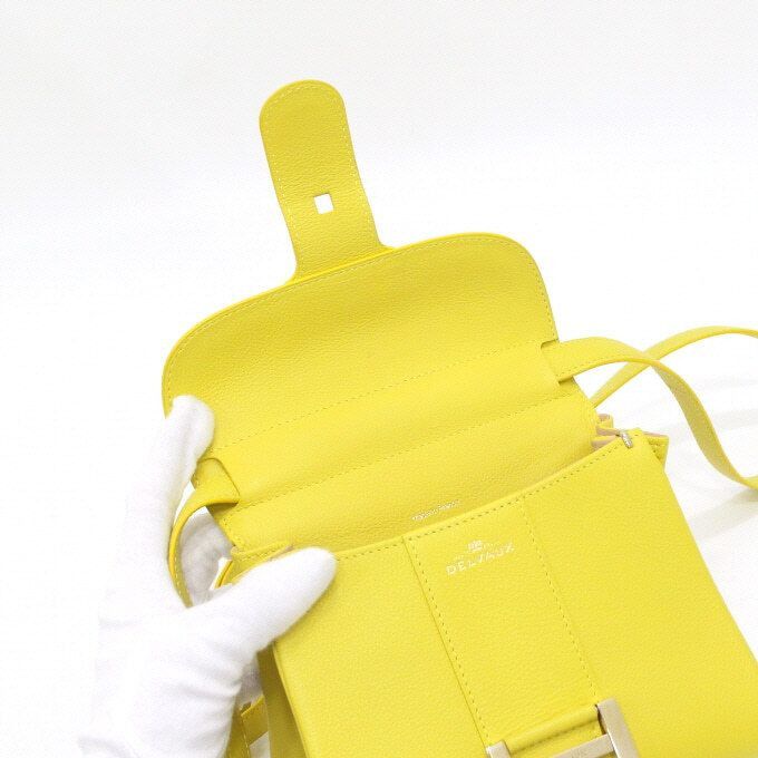 Delvaux Brillant Mini Shoulder Bag in Mimosa Color Size ONE SIZE - 6 Thumbnail