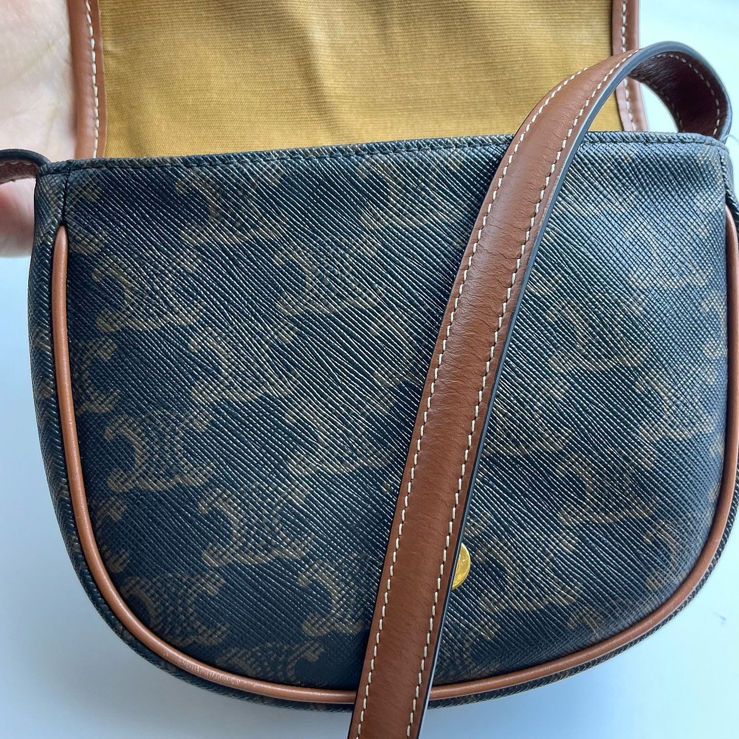 Celine CELINE Triomphe Canvas Besace Mini Bag Size ONE SIZE - 10 Thumbnail