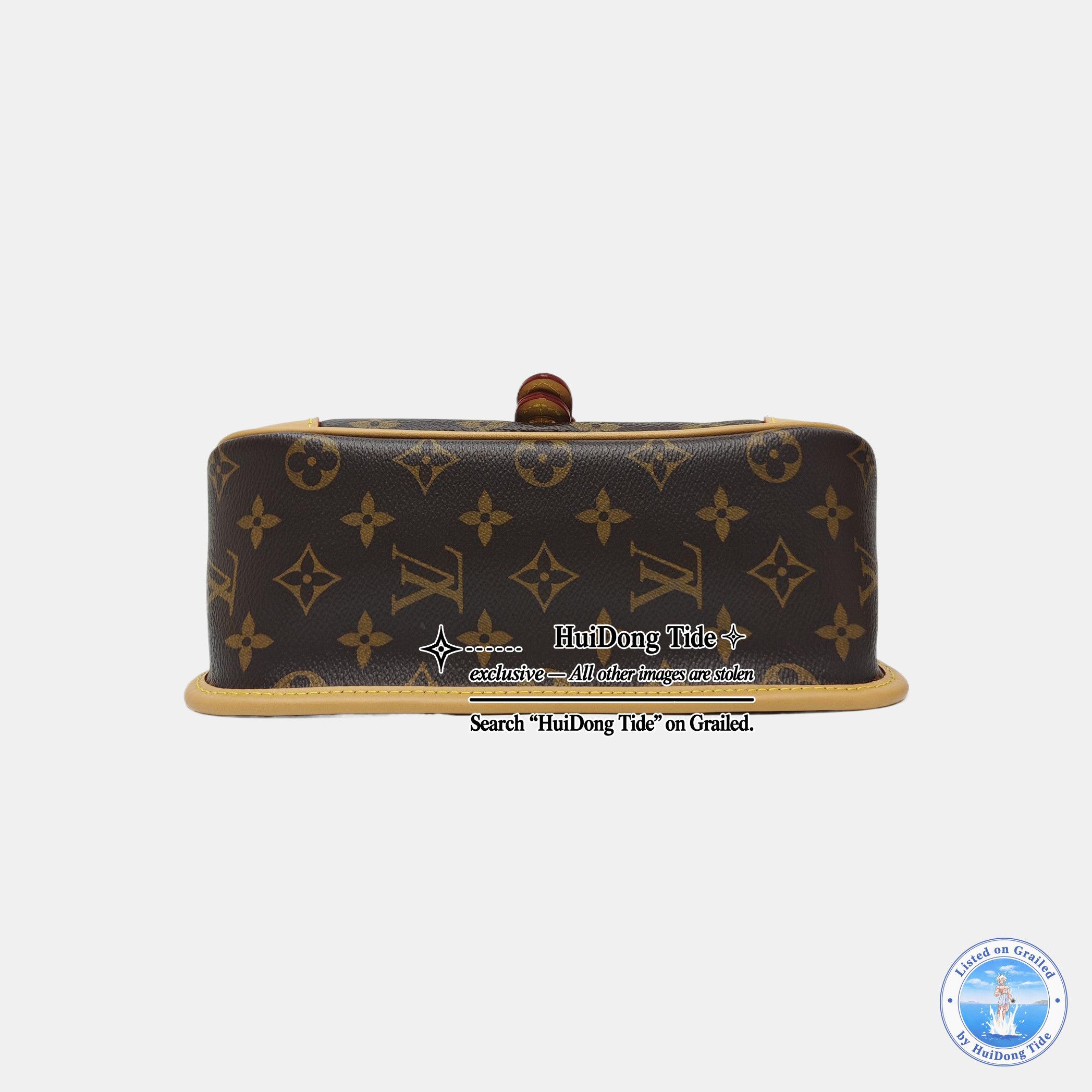 Louis Vuitton Louis Vuitton Diane Monogram Canvas Shoulder Bag Size ONE SIZE - 5 Thumbnail