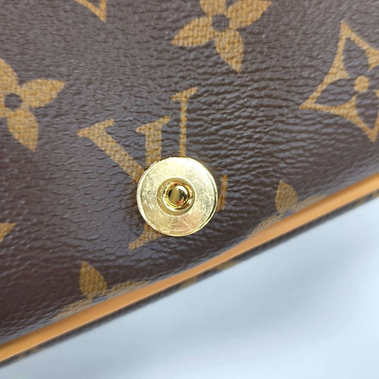 Louis Vuitton Louis Vuitton Diane Monogram Canvas Shoulder Bag Size ONE SIZE - 8 Thumbnail