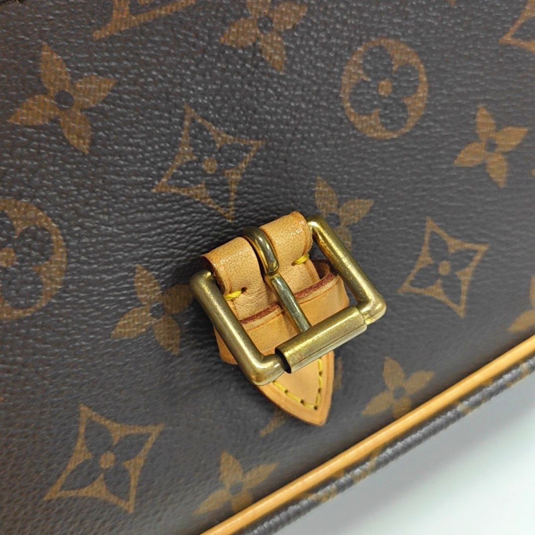 Louis Vuitton Louis Vuitton Sologne Monogram Shoulder Bag Brown Size ONE SIZE - 11 Thumbnail