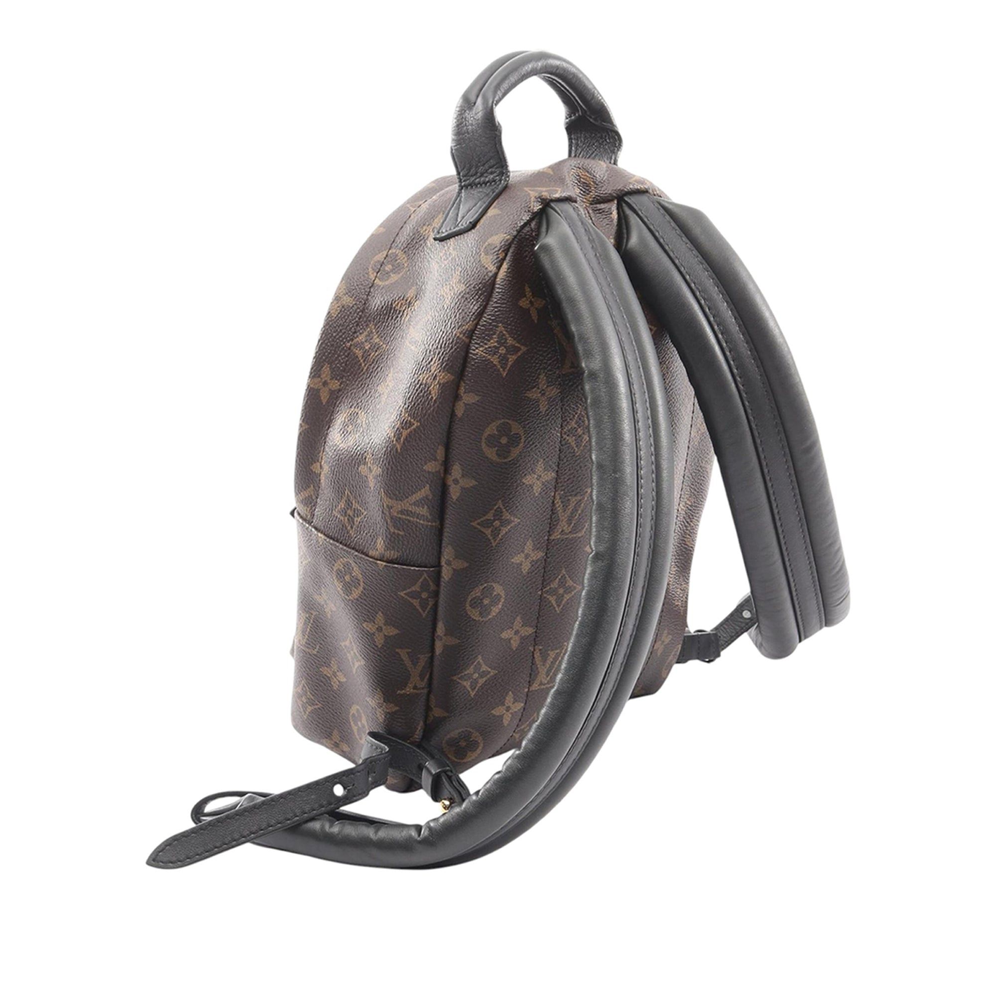 Louis Vuitton Palm Springs PM Size ONE SIZE - 2 Thumbnail