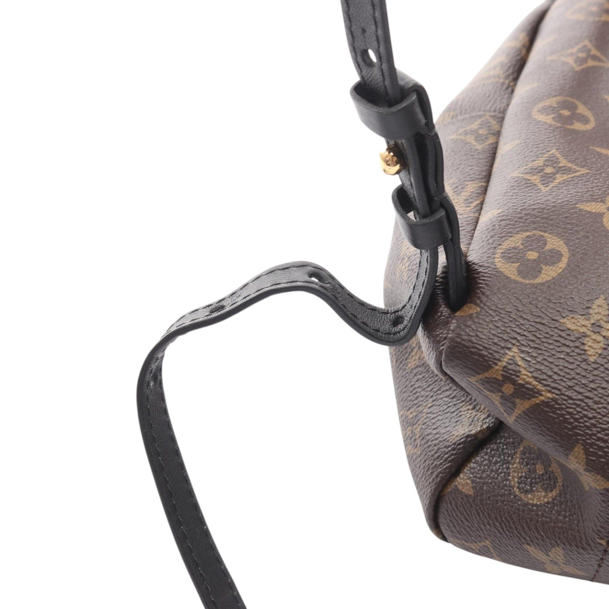 Louis Vuitton Palm Springs PM Size ONE SIZE - 9 Thumbnail