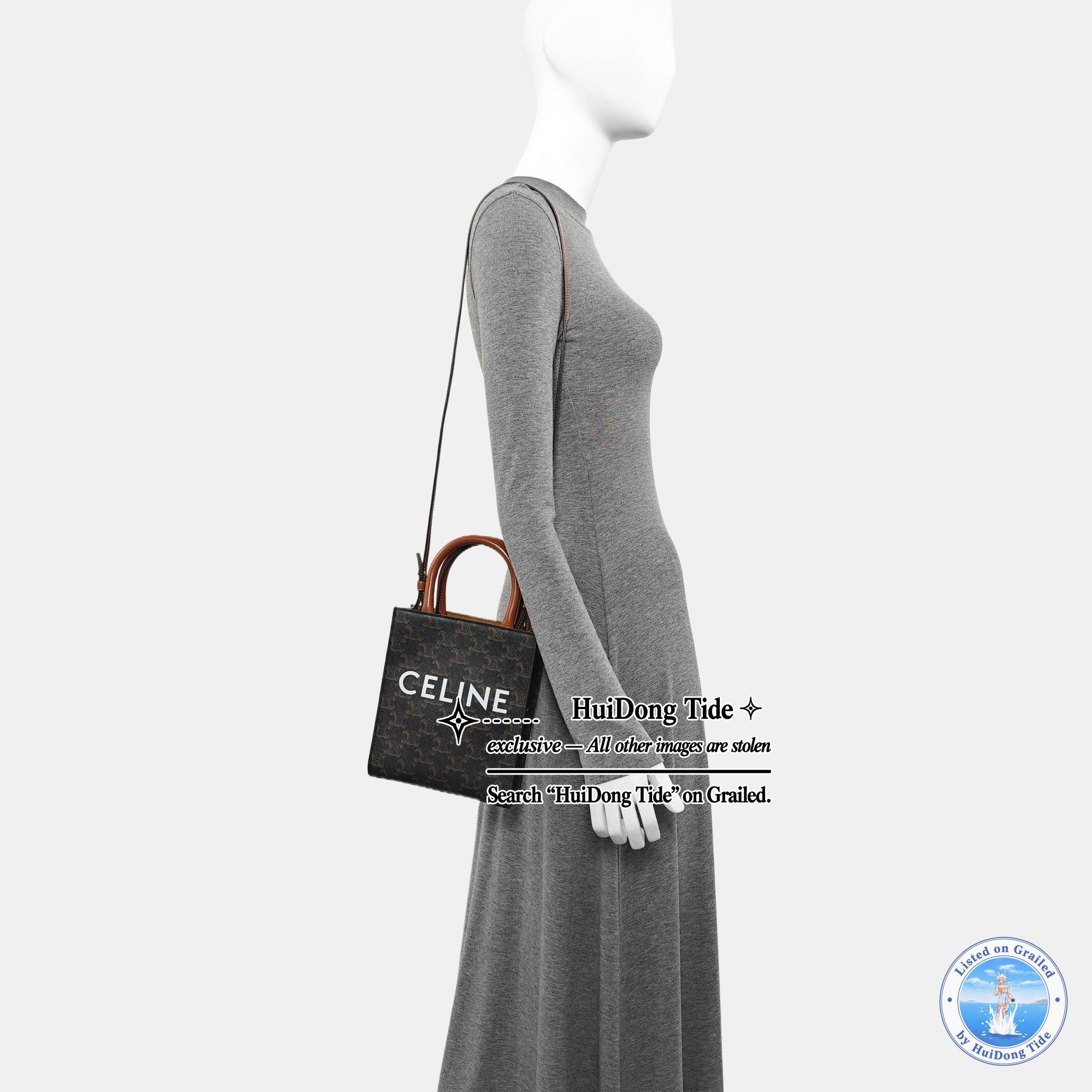 Celine Celine Triomphe Canvas Cabas Mini Bag Brown Size ONE SIZE - 2 Thumbnail
