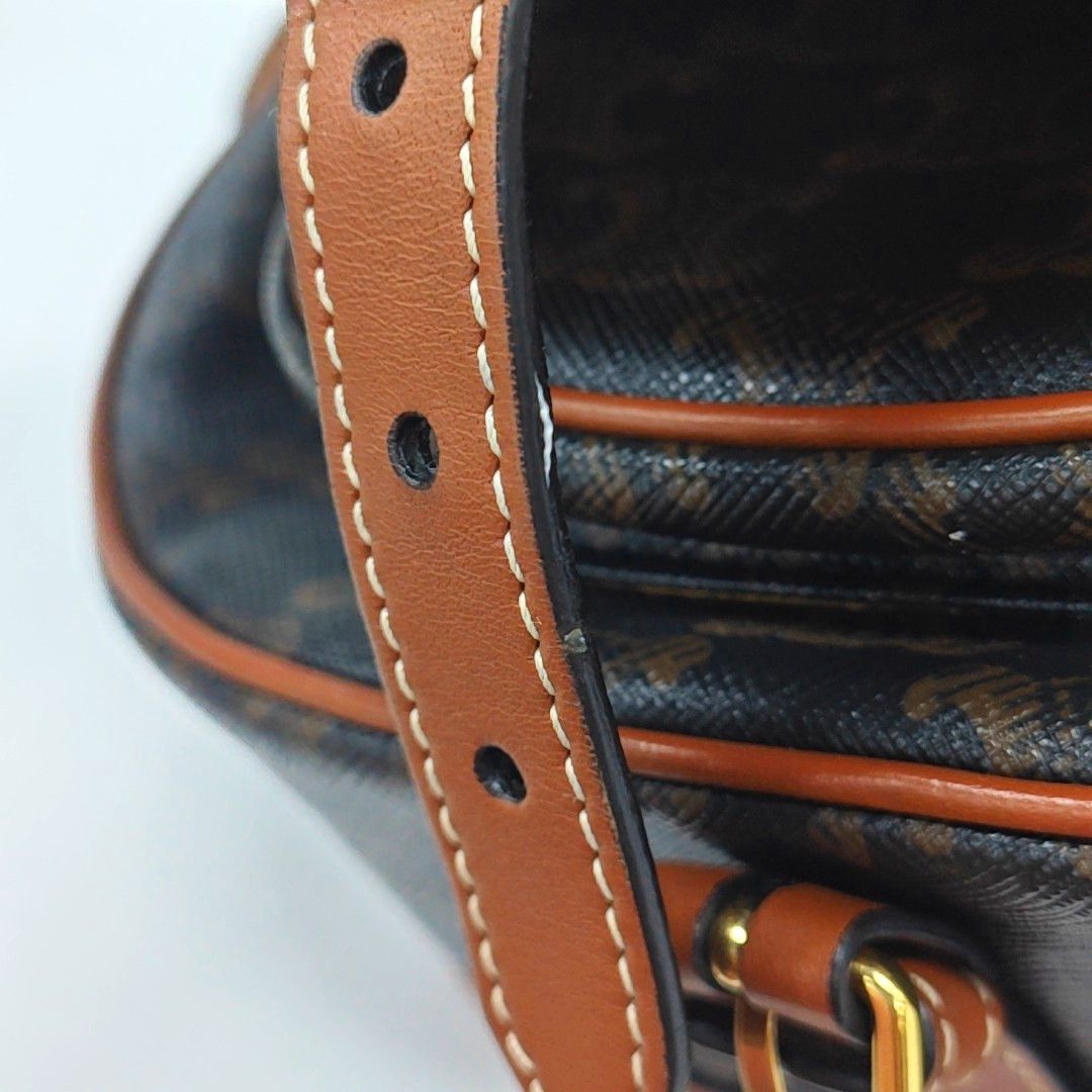 Celine Celine Folco Triomphe Canvas Saddle Bag Size ONE SIZE - 8 Thumbnail