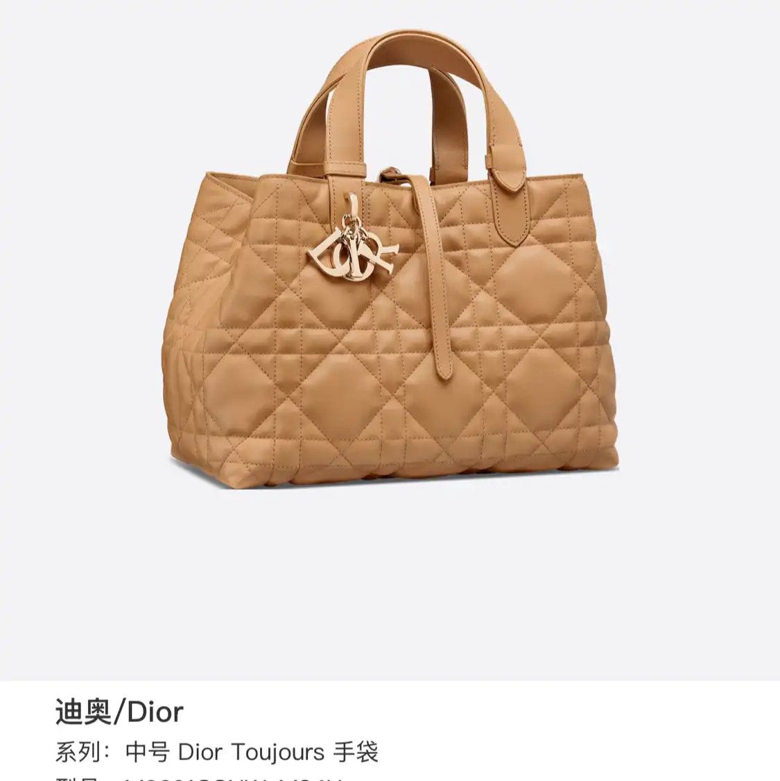 Dior DIOR Toujours Medium gold cowhide leather rattan plaid quilted handbag Size ONE SIZE - 10 Thumbnail