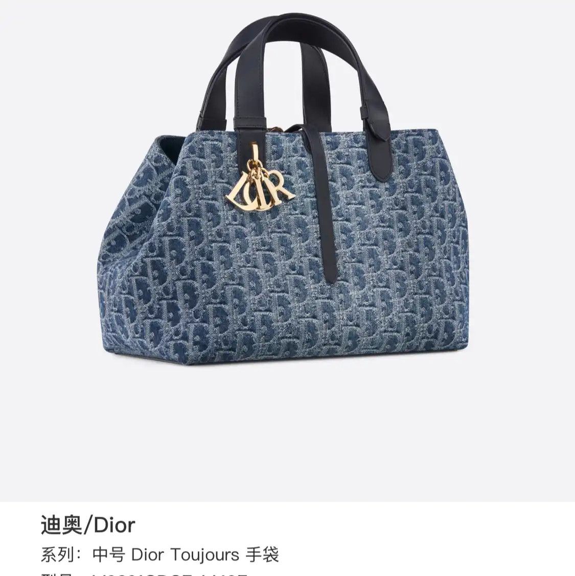 Dior DIOR Toujours Medium blue denim jacquard handbag Size ONE SIZE - 10 Thumbnail