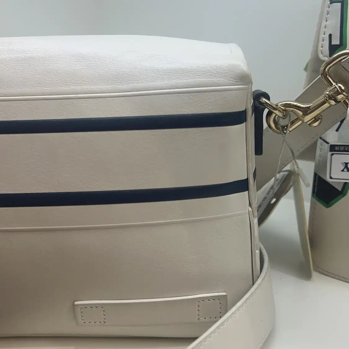 Dior DIOR Diorcamp Small white cowhide leather crossbody bag Size ONE SIZE - 20 Thumbnail