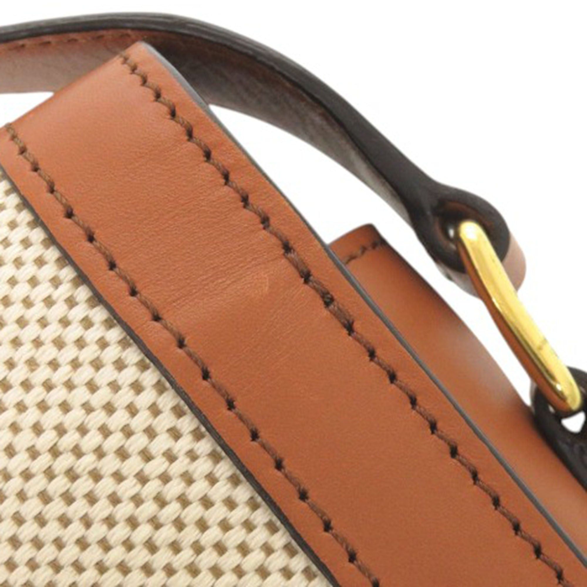 Celine Classique Canvas and Calfskin Triomphe Crossbody Size ONE SIZE - 20 Thumbnail