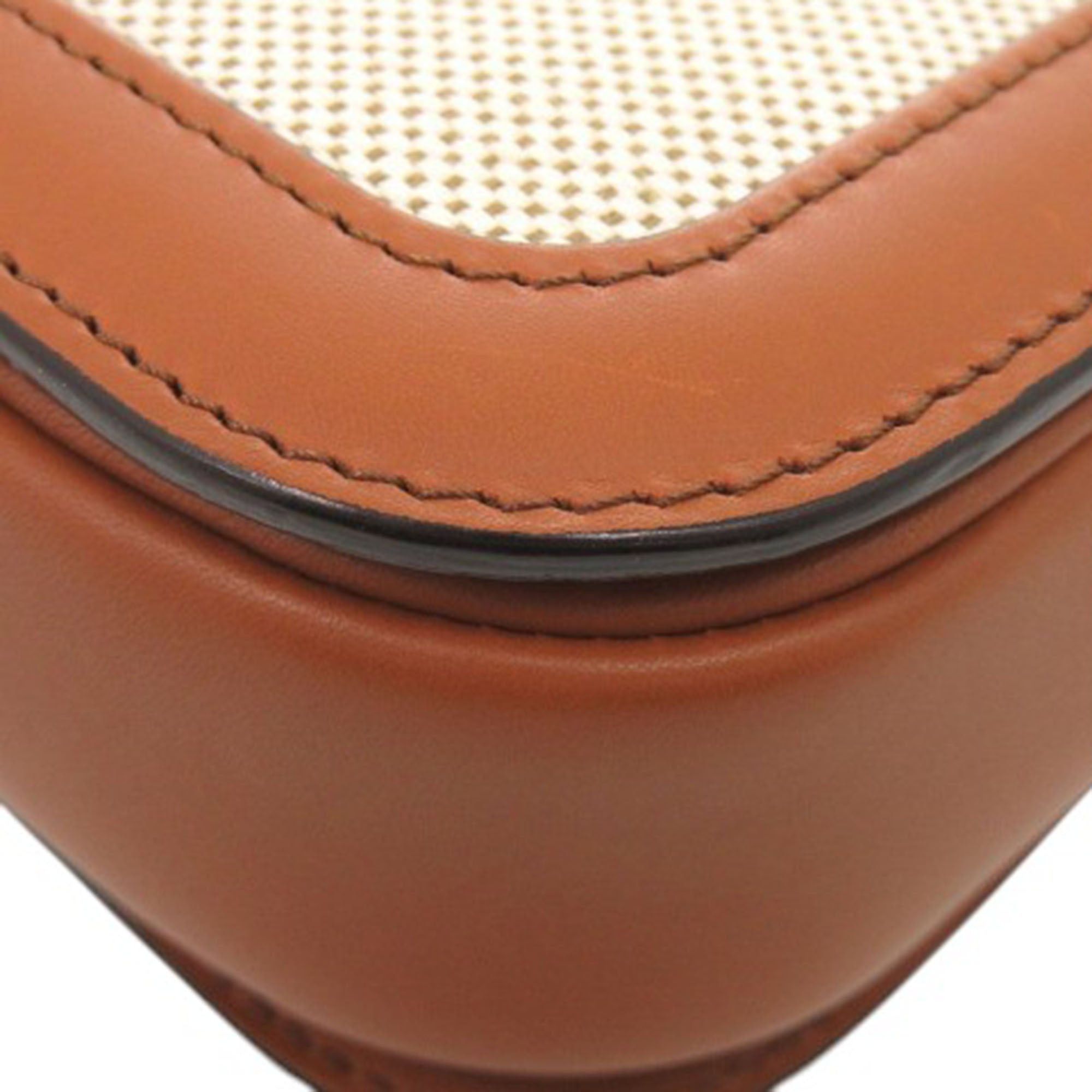 Celine Classique Canvas and Calfskin Triomphe Crossbody Size ONE SIZE - 23 Thumbnail