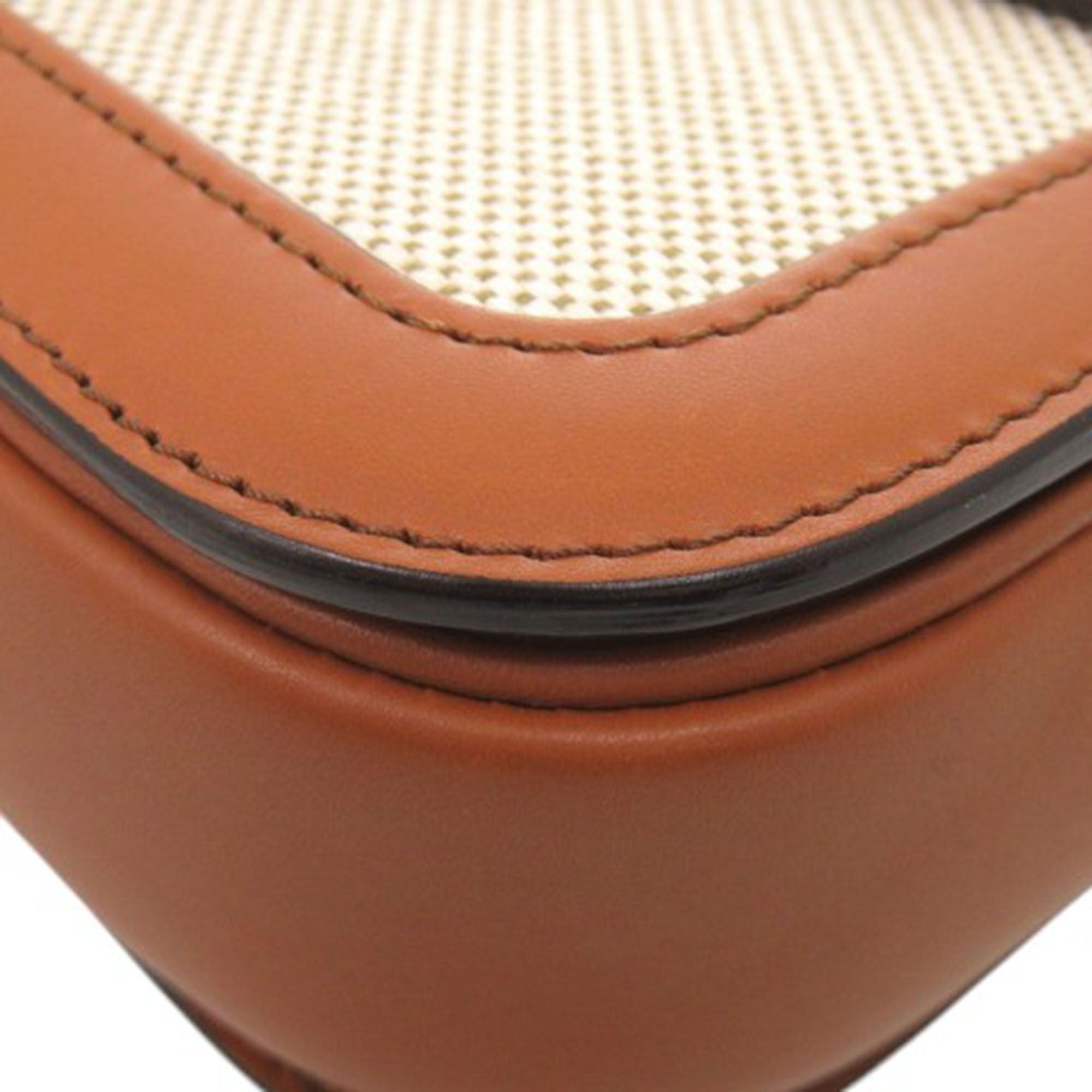 Celine Classique Canvas and Calfskin Triomphe Crossbody Size ONE SIZE - 21 Thumbnail