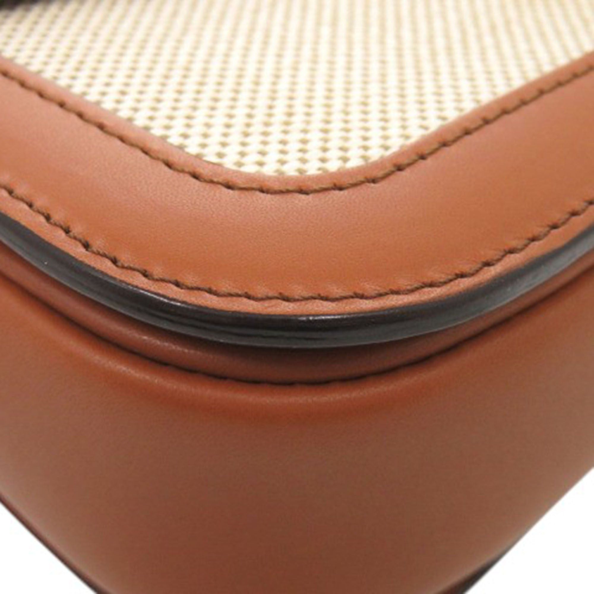 Celine Classique Canvas and Calfskin Triomphe Crossbody Size ONE SIZE - 22 Thumbnail